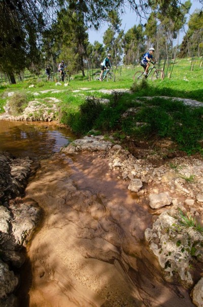 צילום: אילן שחם, ארכיון הצילומים של קק"ל