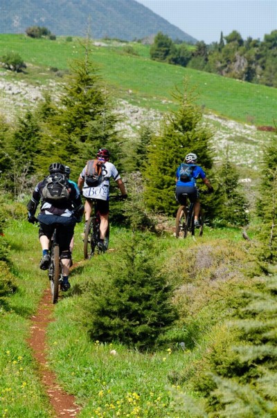 צילום: אילן שחם, ארכיון הצילומים של קק"ל
