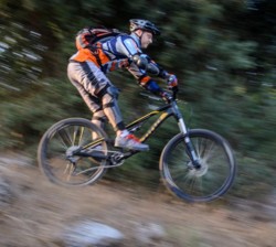 צילום: אילן שחם