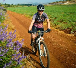 צילום: אילן שחם