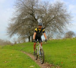 צילום: יואב לביא