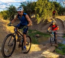 צילום: יואב לביא