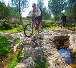 צילום: רונן גולן