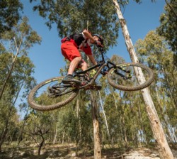 צילם: אילן שחם