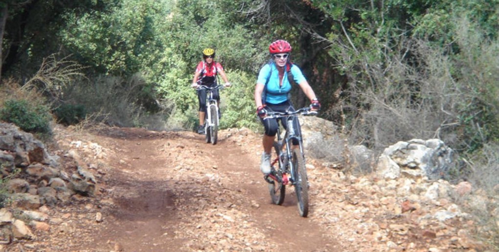 סינגל יחיעם. צילום: כמי זריהן-הלר, ארכיון הצילומים של קק"ל