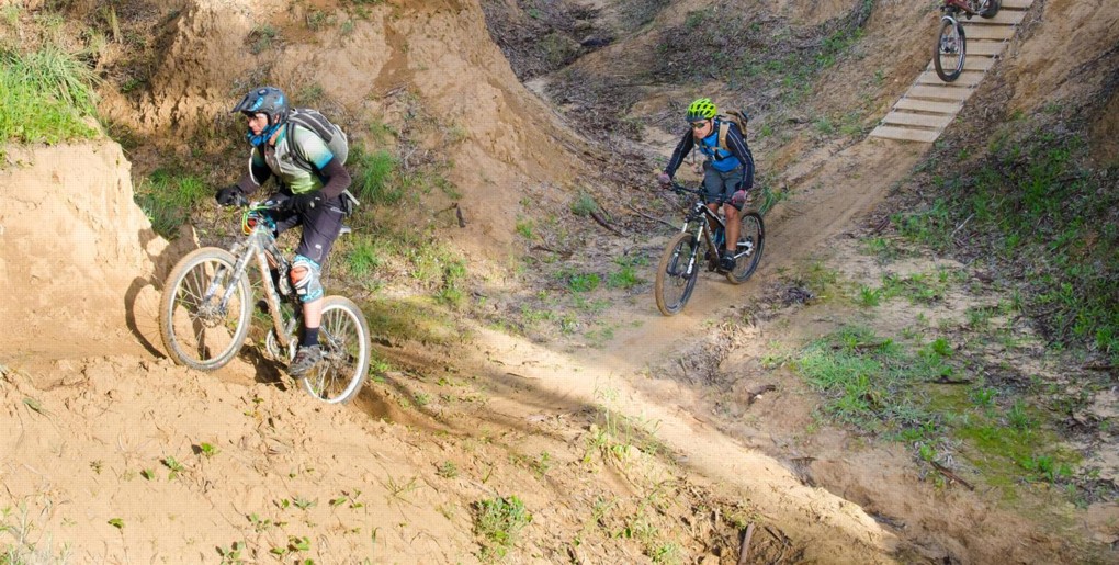 שביל יער קהילתי שוקדה. צילום: אילן שחם, ארכיון הצילומים של קק"ל