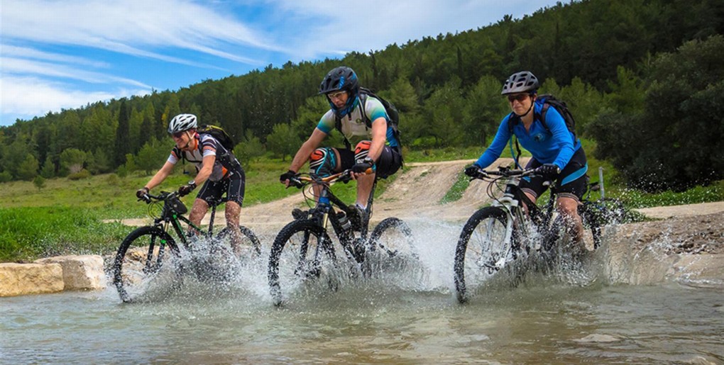 שביל האופניים עין השופט-הזורע. צילם: אילן שחם, ארכיון הצילומים של קק"ל