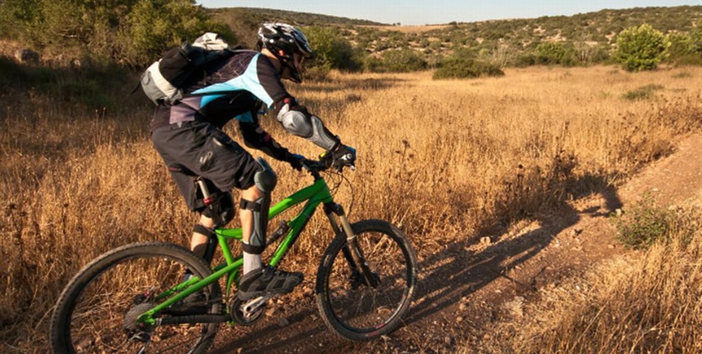 שביל קנים. צילום: אילן שחם, ארכיון הצילומים של קק"ל