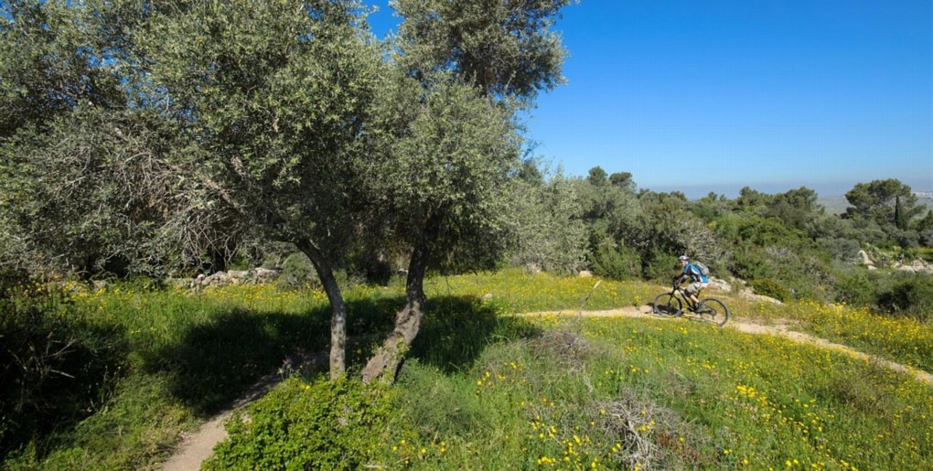 שבילי אופניים בפארק קנדה (איילון). צילום: אילן שחם, ארכיון הצילומים של קק"ל