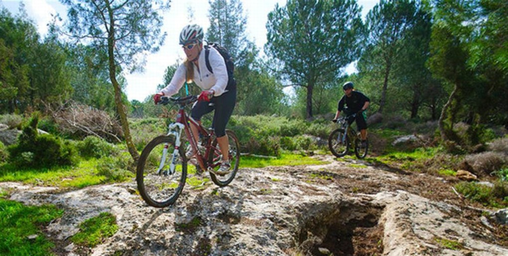 שביל אופניים גבעת אלה. צילום: רונן גולן, ארכיון הצילומים של קק"ל