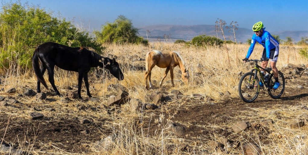 שביל אופניים קצרין. צילם: אילן שחם