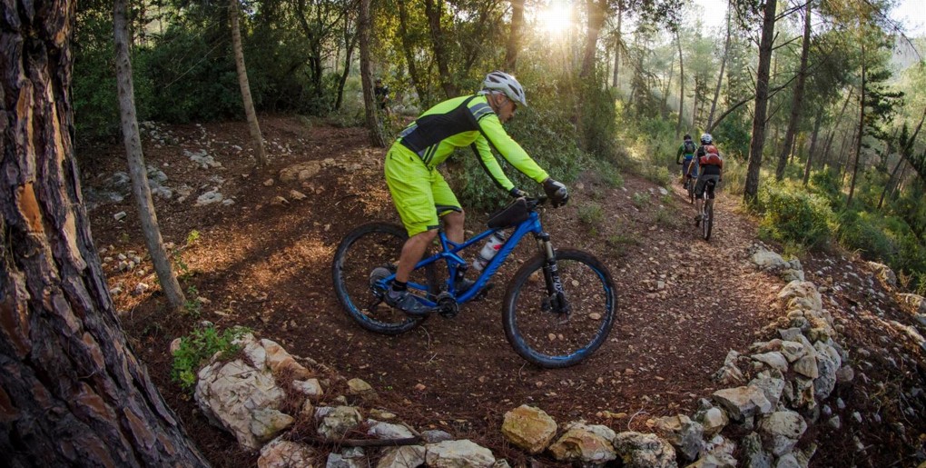 סינגל עין ראפה. צילם: אילן שחם, ארכיון הצילומים של קק"ל