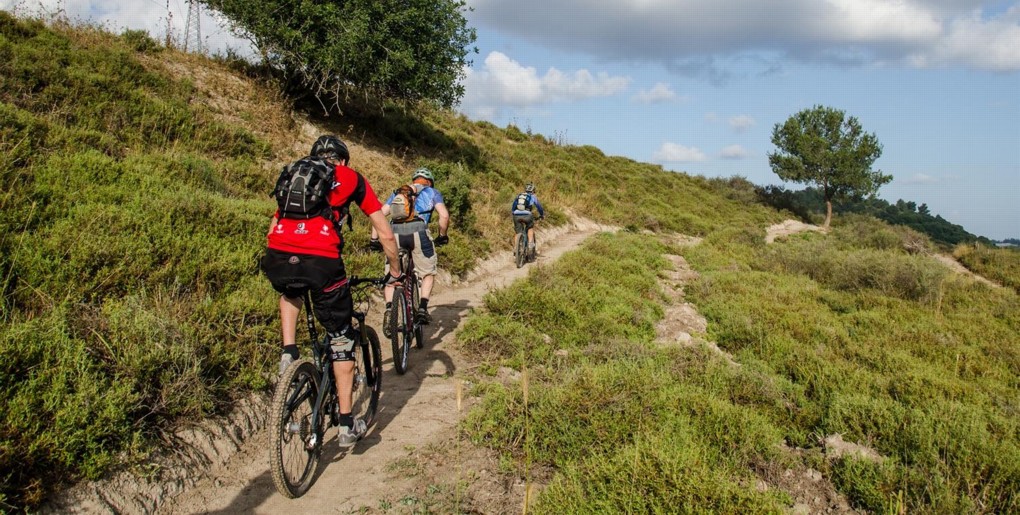 סינגלי יער חגית ובת שלמה. צילם: אילן שחם, ארכיון הצילומים של קק"ל