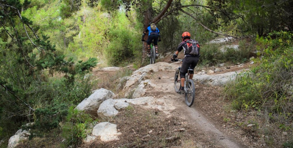 סינגל יער שגב. צילם: אילן שחם, ארכיון הצילומים של קק"ל