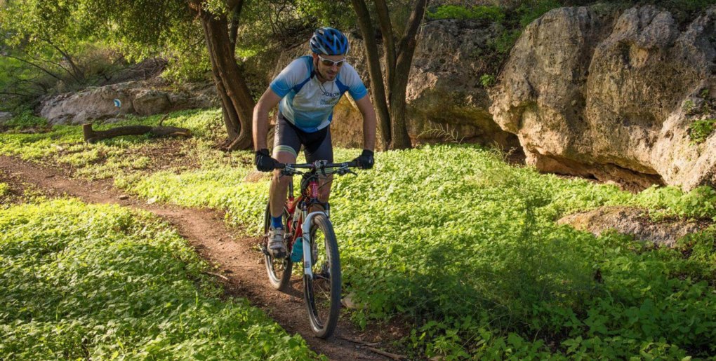 סינגל יער קהילתי שוהם. צילם: אילן שחם, ארכיון הצילומים של קק"ל