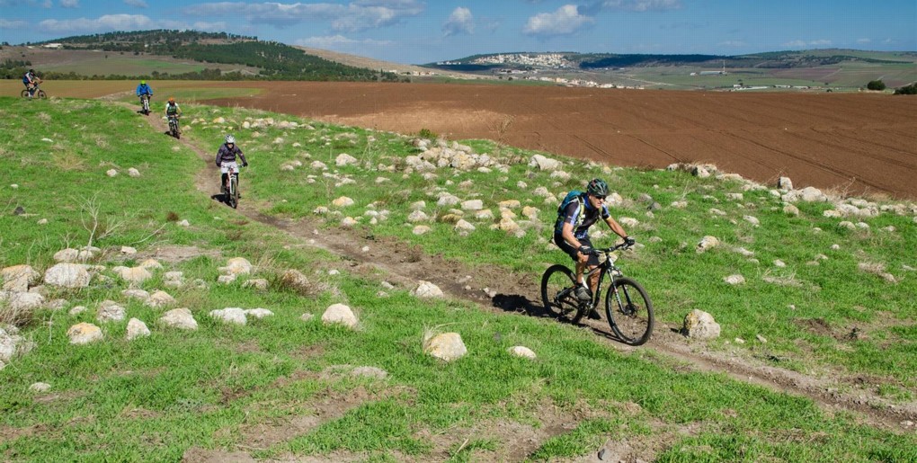סינגל יער גבעת המורה. צילם: אילן שחם, ארכיון הצילומים של קק"ל