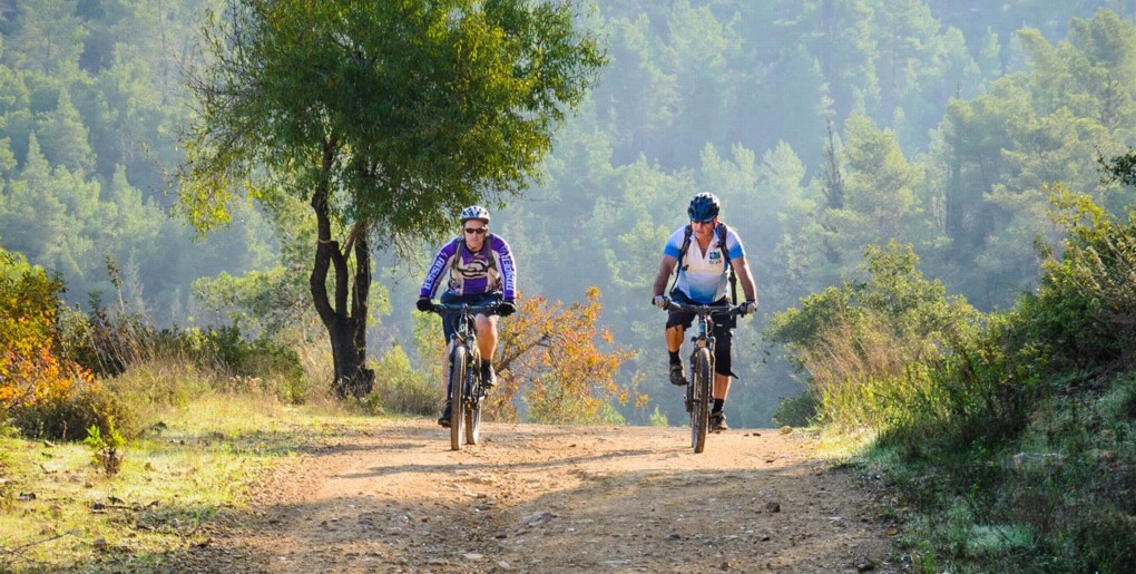 מסלול אופניים בירושלים – יער קדושים