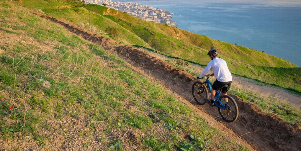 סינגל יער שווייץ. צילם: אילן שחם, ארכיון הצילומים של קק"ל