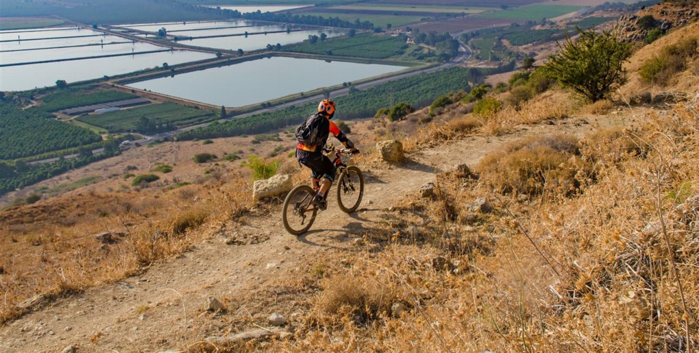 סינגל יער הרי נפתלי. צילם: אילן שחם, ארכיון הצילומים של קק"ל