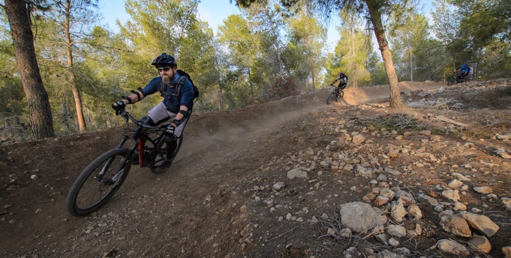 סינגל רימון ביער להב - כרמים. צילם: אילן שחם, ארכיון הצילומים של קק"ל