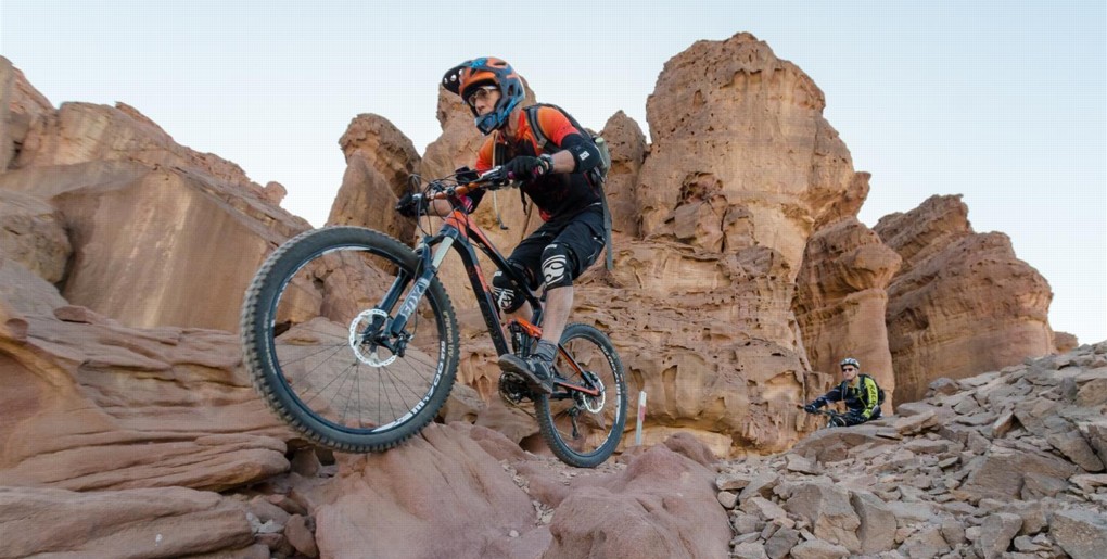 סינגלים בפארק תמנע. צילם: אילן שחם, ארכיון הצילומים של קק"ל