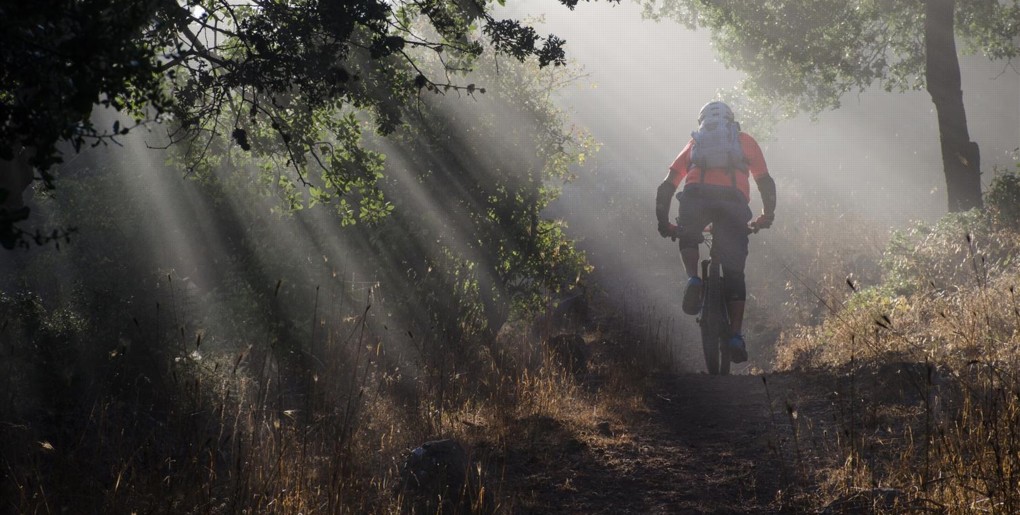 סינגל מרום גולן - "בשבילם". צילם: אילן שחם, ארכיון הצילומים של קק"ל