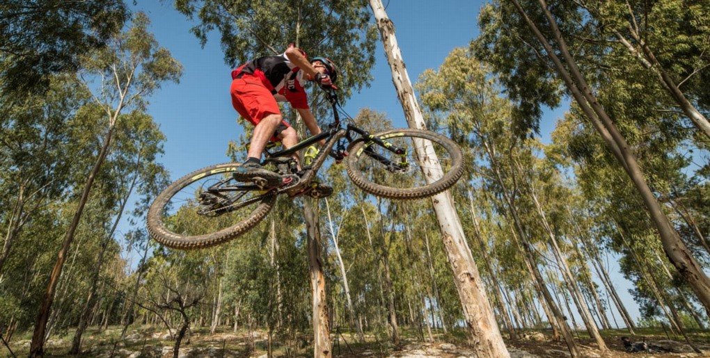 מסלול פאמפטרק אלון הגליל. צילם: אילן שחם, ארכיון הצילומים של קק"ל