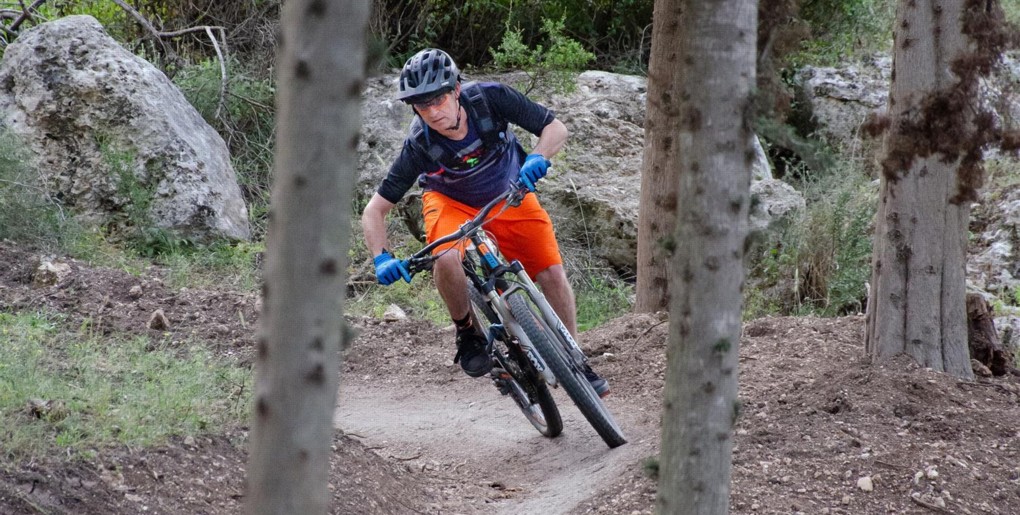 סינגל יער קריית אתא. צילם: אילן שחם, ארכיון הצילומים של קק"ל