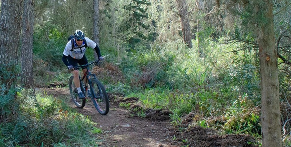 סינגל משואה המחודש. צילם: אילן שחם, ארכיון הצילומים של קק"ל