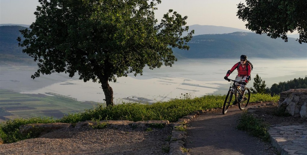 סינגל יער טורען. צילם: אילן שחם, ארכיון הצילומים של קק"ל