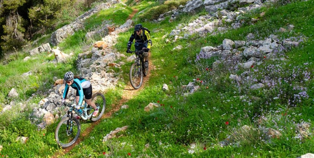 סינגל נחל לימונים. צילם: אילן שחם