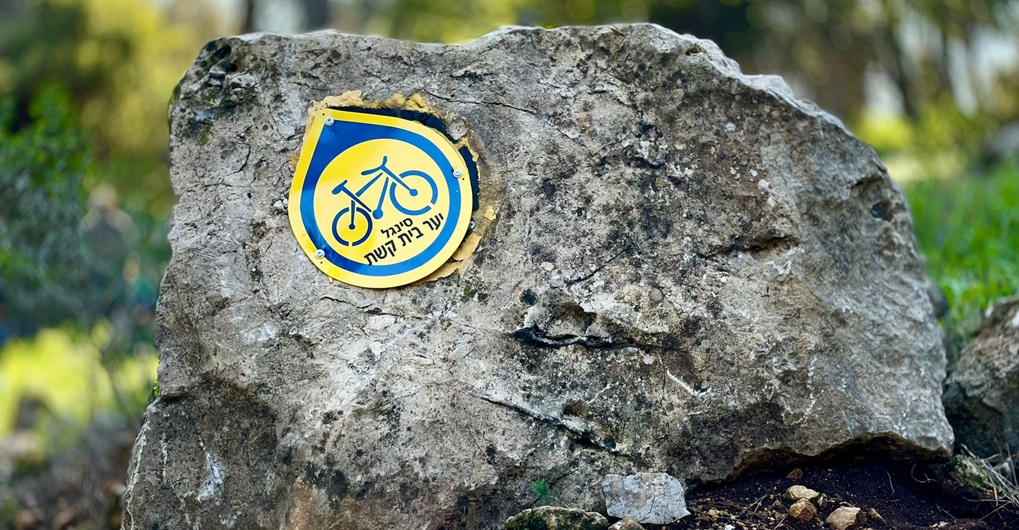 סינגל יער בית קשת. צילם: אמיר הרמס, קק"ל