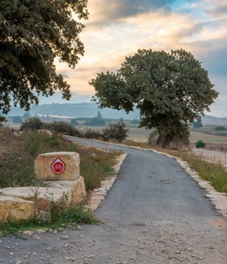 הכניסה לסינגל – קטע אספלט קצר לפי שנכנסים לשטח. צילום: אילן שחם