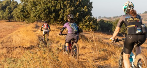שדות בין החורשות. צילום: אילן שחם