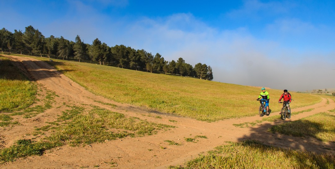 על שביל נעים, בין כרמים ושדות. צילום: אילן שחם, ארכיון הצילומים של קק"ל