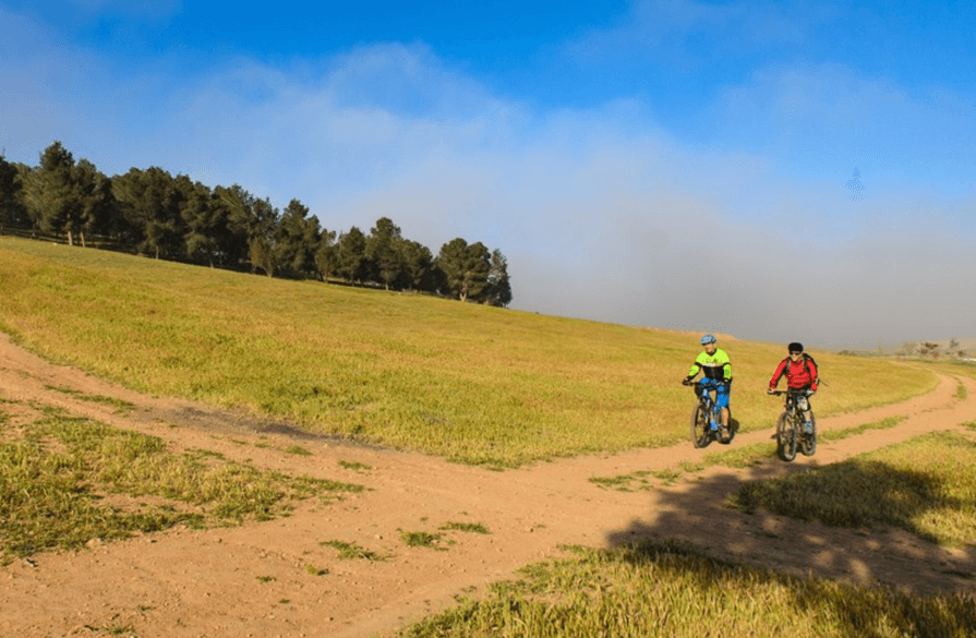 סינגל כרמים. צילום: אילן שחם, ארכיון הצילומים של קק''ל