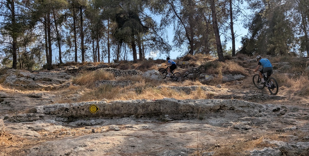 צילום: אריק פלדמן, ארכיון הצילומים של קקל 