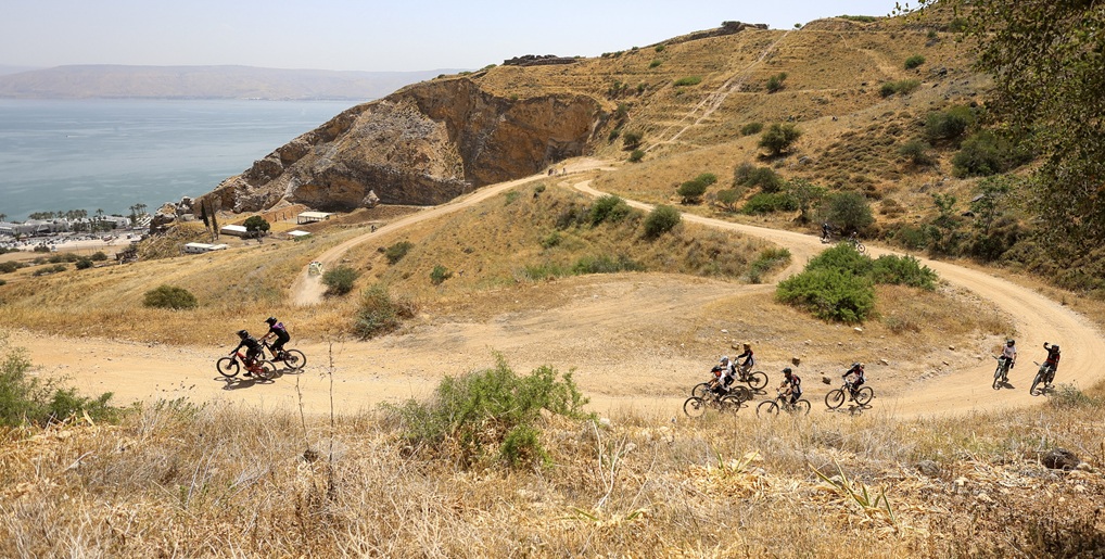 מסלולי אנדורו יער שוויץ. צילום: עופר עברי