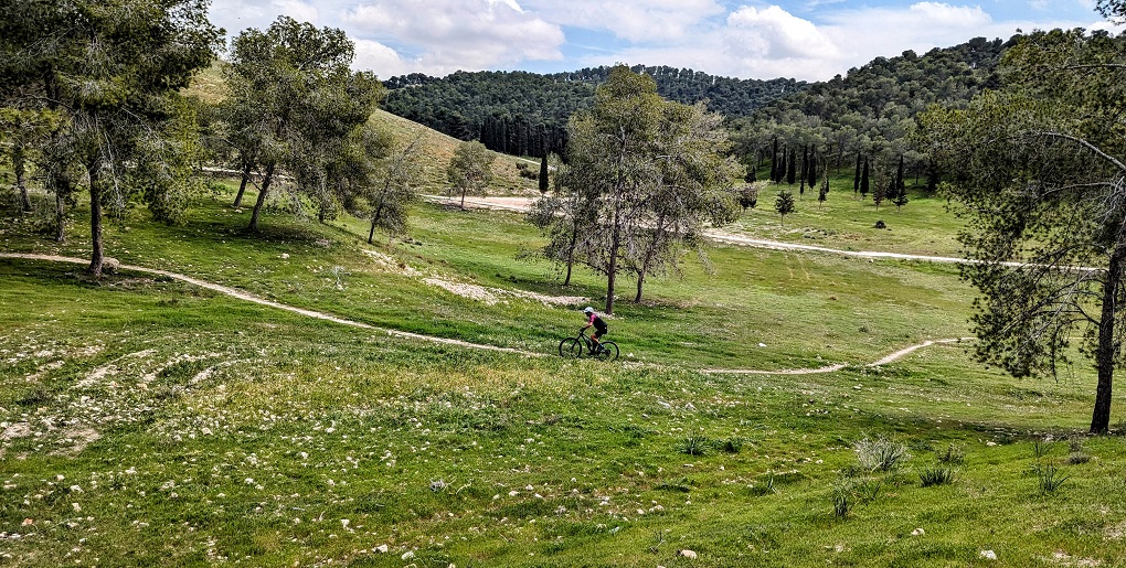 צילום: אריק פלדמן, ארכיון הצילומים של קק''ל