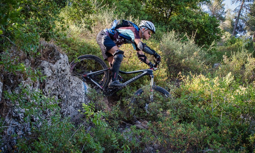 צילום: אילן שחם