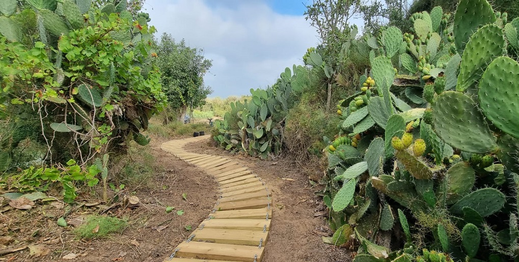 שביל אופניים יער יד מרדכי. צילום: חובב לנדאו