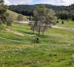 צילום: אריק פלדמן