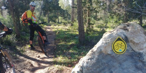 צילום: אילן שחם