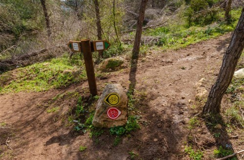 צילום: אילן שחם