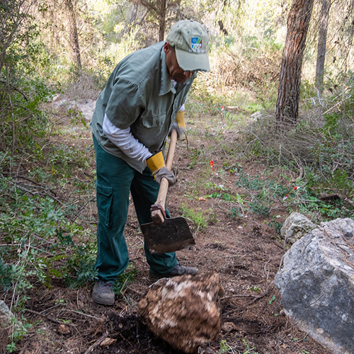 עטא מפנה סלע סורר מההסינגל