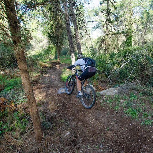 עכשיו אפשר לטוס!, צילם: אילן שחם