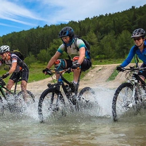 שביל האופניים עין השופט-הזורע. צילם: אילן שחם, ארכיון הצילומים של קקל
