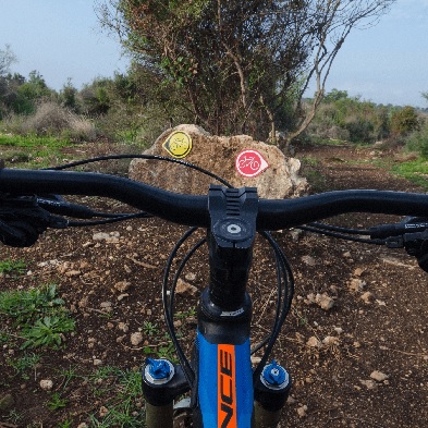 צילם: אילן שחם, ארכיון הצילומים של קקל
