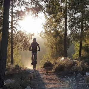 סינגל עין קובי. צילום יאיר ארונשטם

