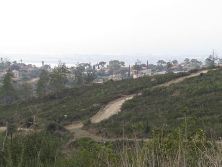 פסי חיץ למניעת שריפות. צילום: יואב דביר